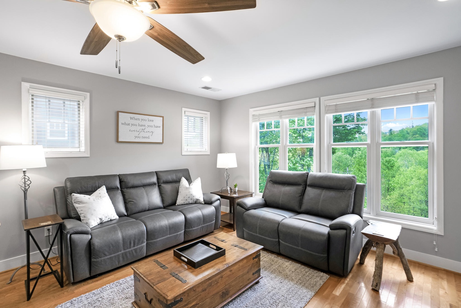 Living Room---Mountain View