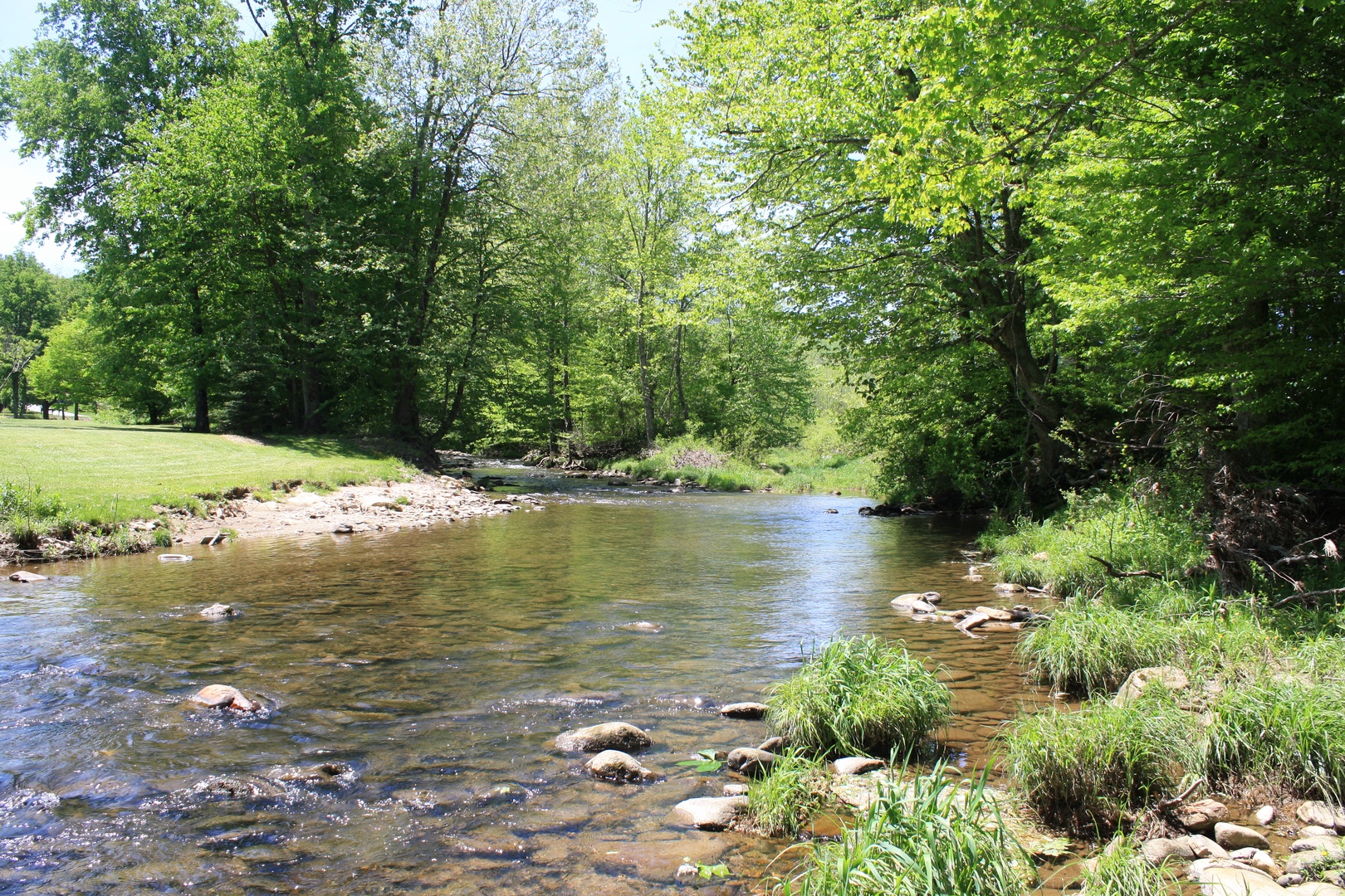 A tranquil river meanders through lush greenery and towering trees on the property grounds, perfect for peaceful strolls or simply listening to the gentle flow of water.