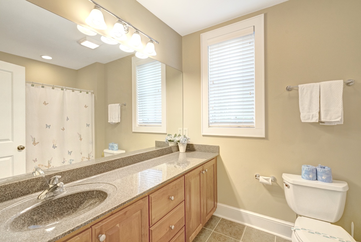 Guest Bathroom---Downstairs