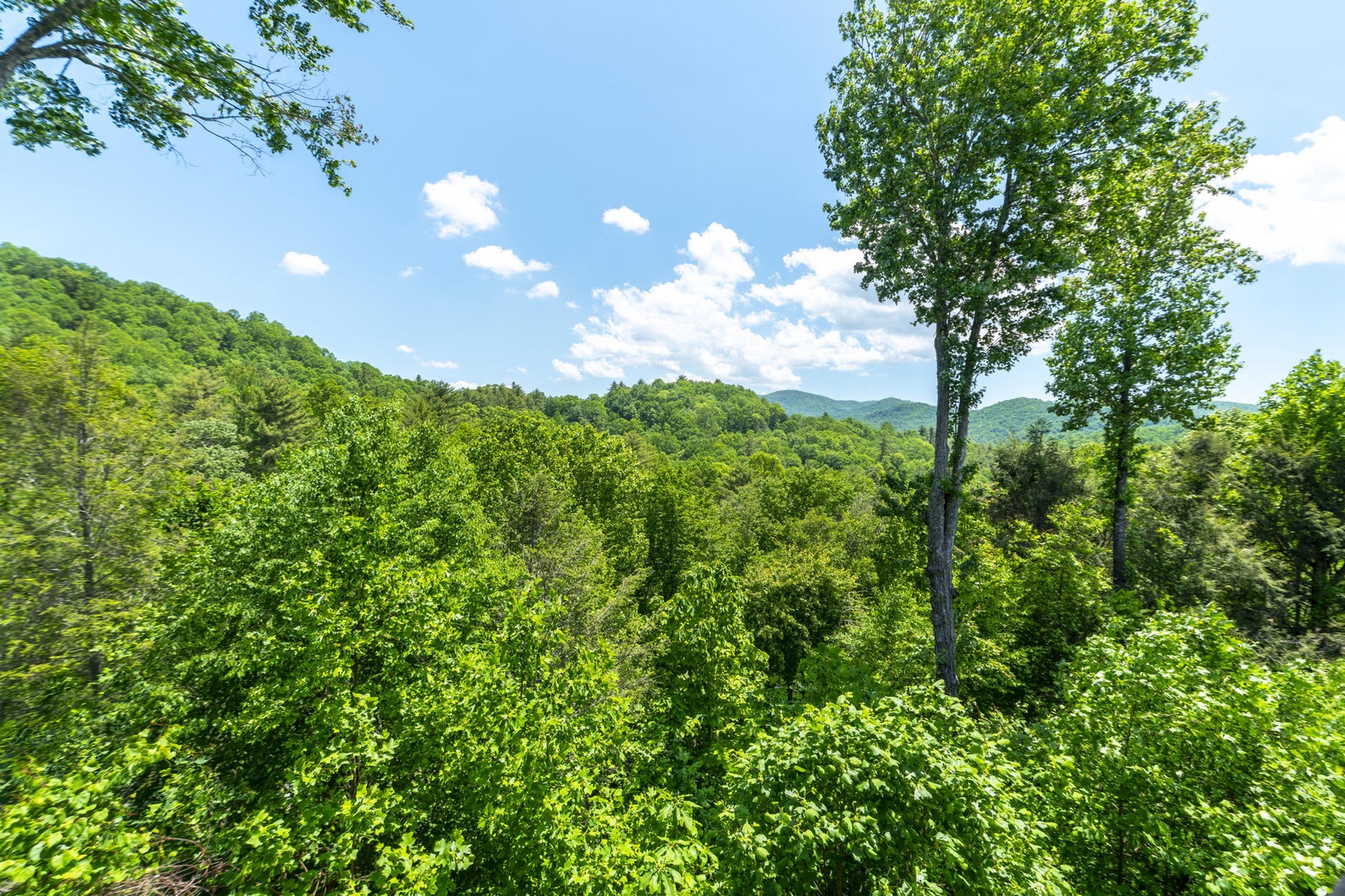 Summer Mountain View