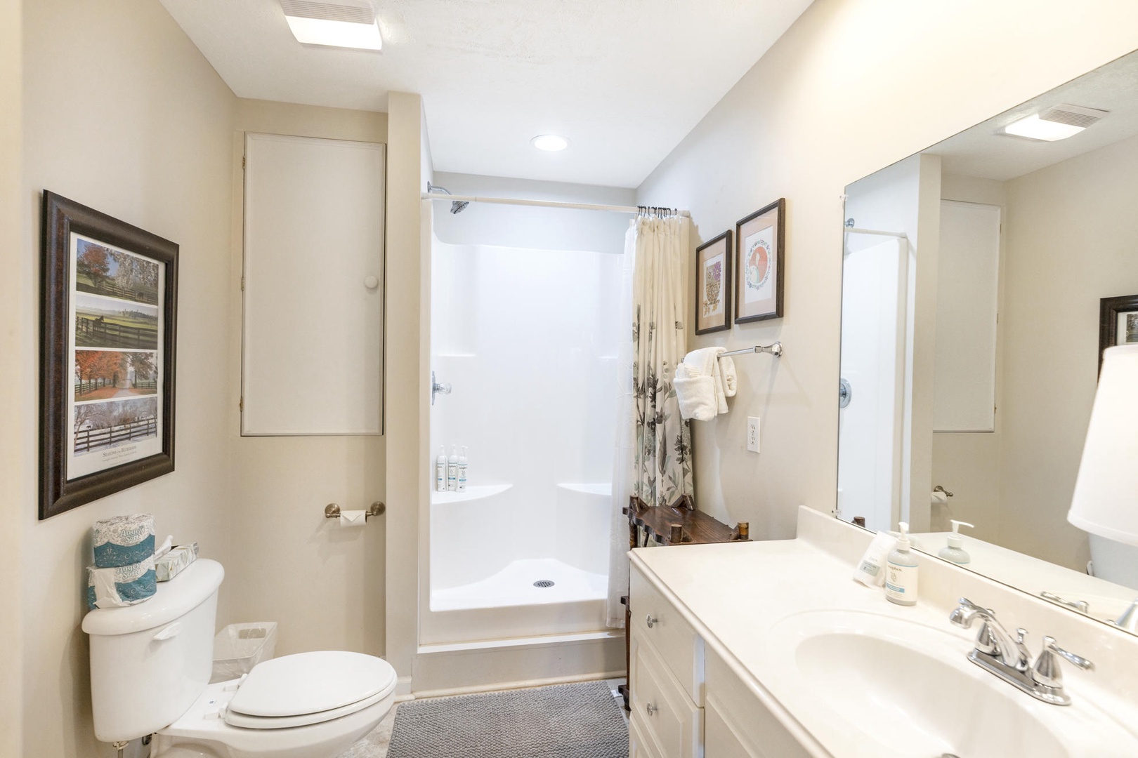 Guest Bathroom---Downstairs