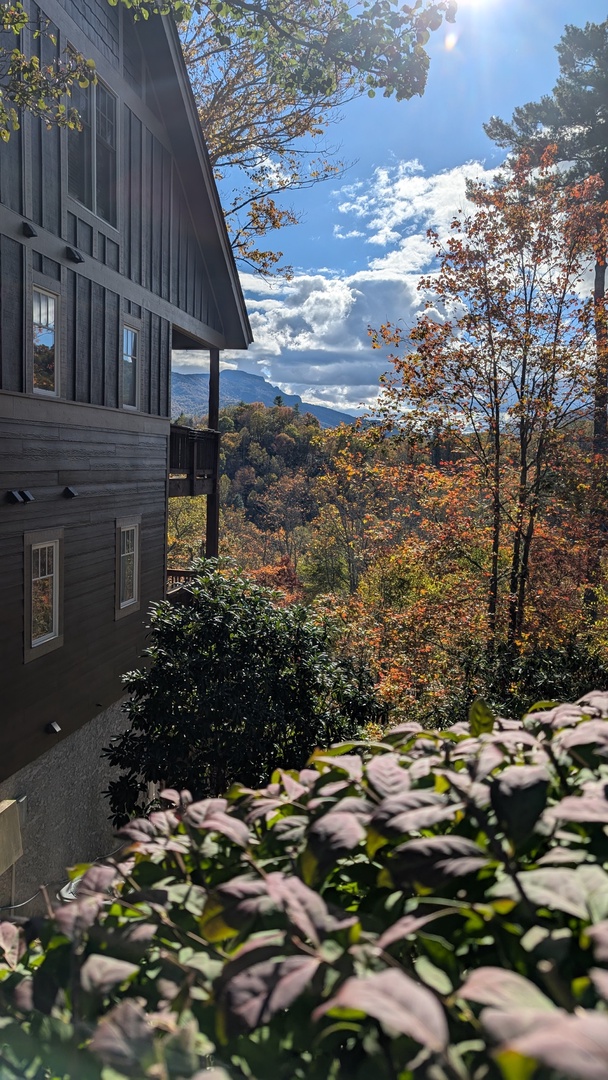 Fall view from Timbers F-2