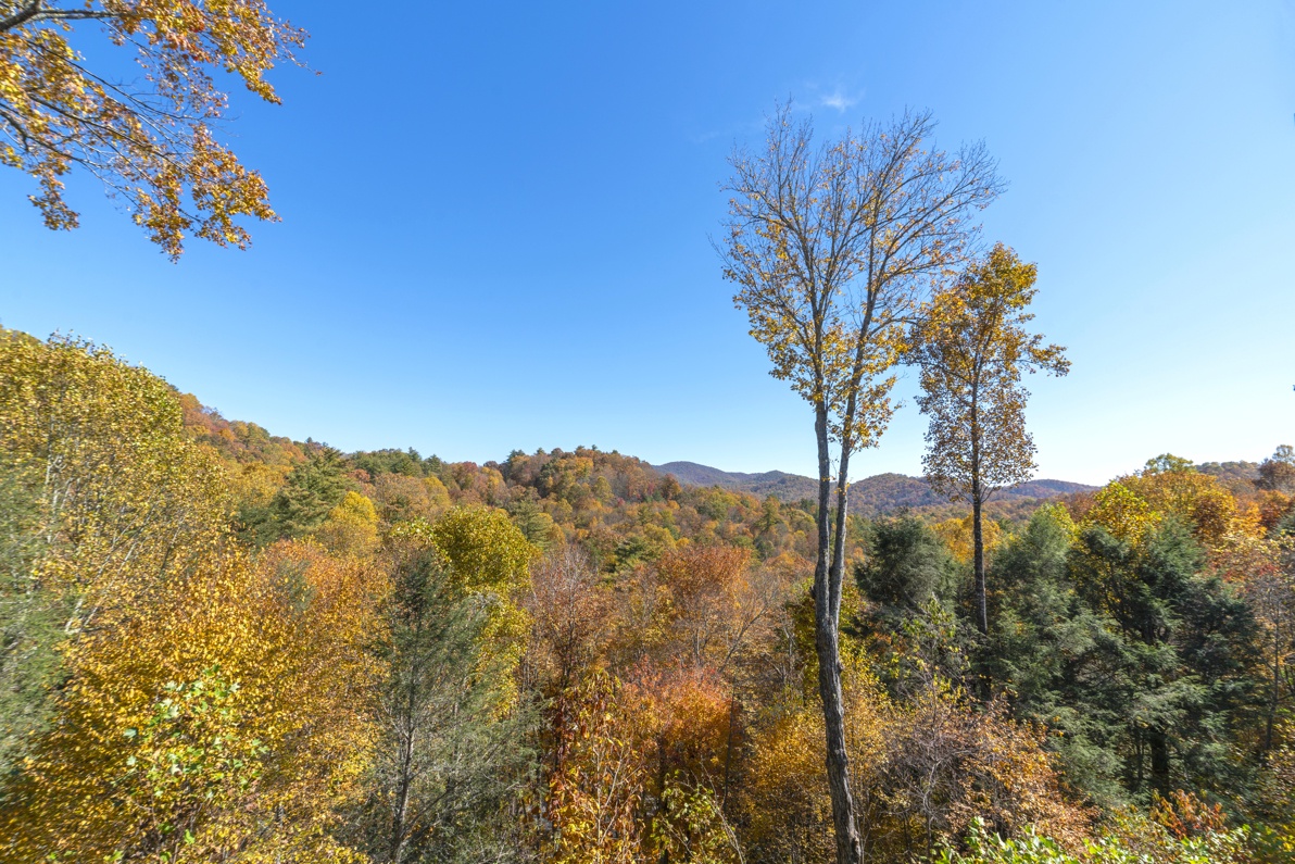 Mountain View with Fall Foliage