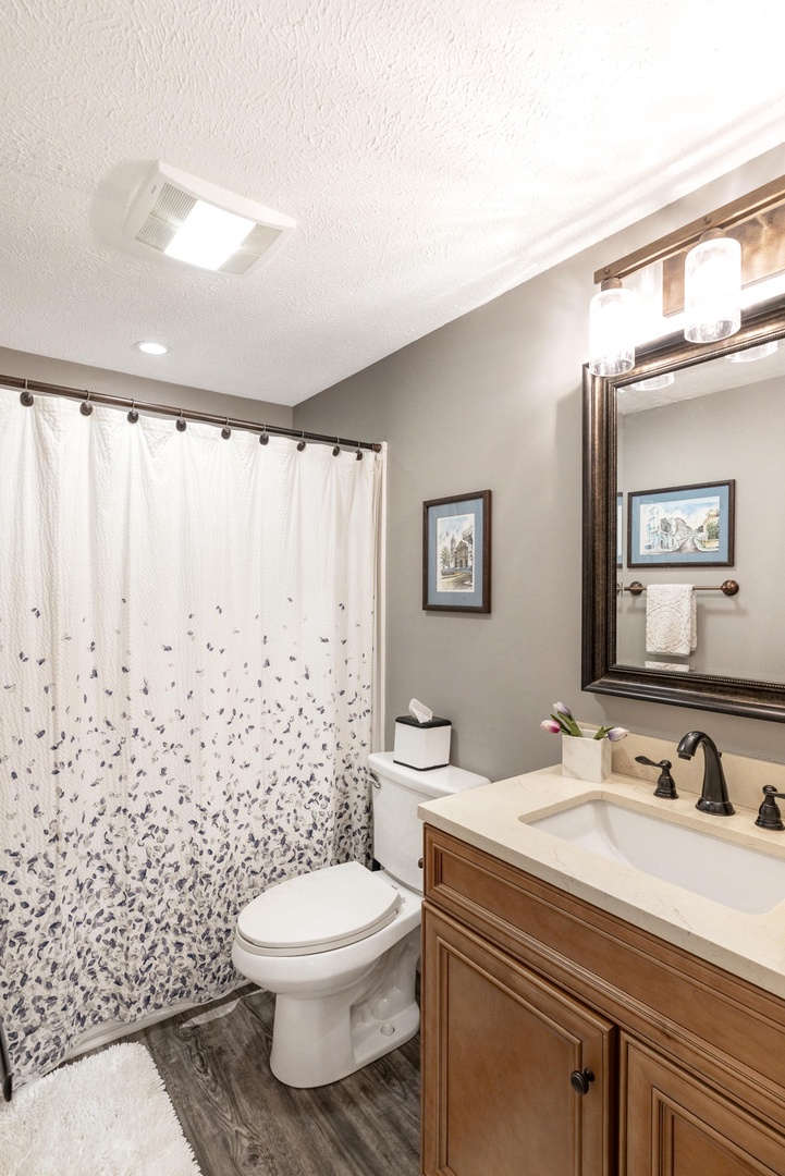 Guest Bathroom---Downstairs