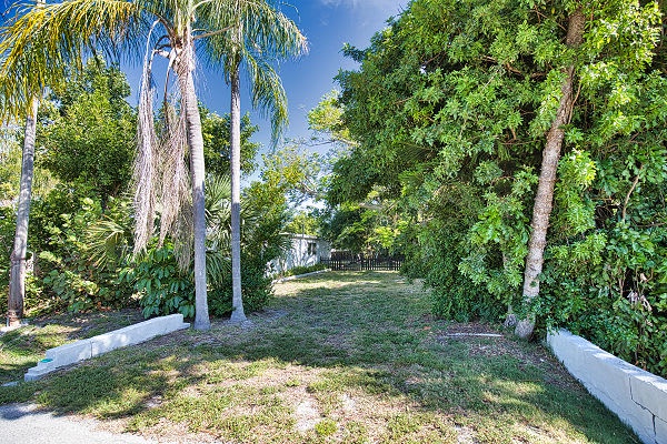 The property features a private backyard oasis with mature tropical palm trees and lush greenery providing natural shade and privacy.