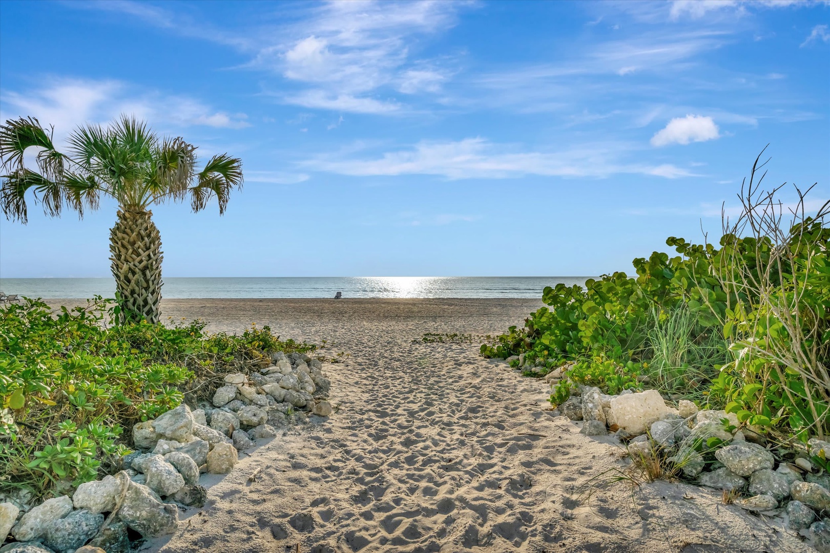A scenic beach access path leads through coastal vegetation and palm trees to the sandy shore and calm ocean waters beyond.