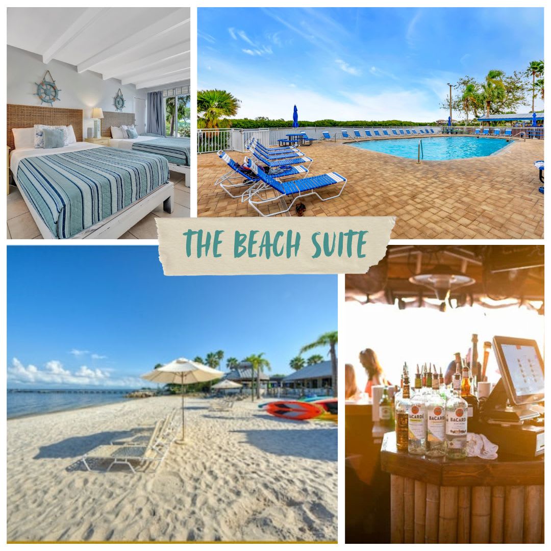 A waterfront resort property featuring comfortable accommodations, a sparkling pool with loungers, direct beach access with white sand, and refreshing drinks ready at the tiki bar.