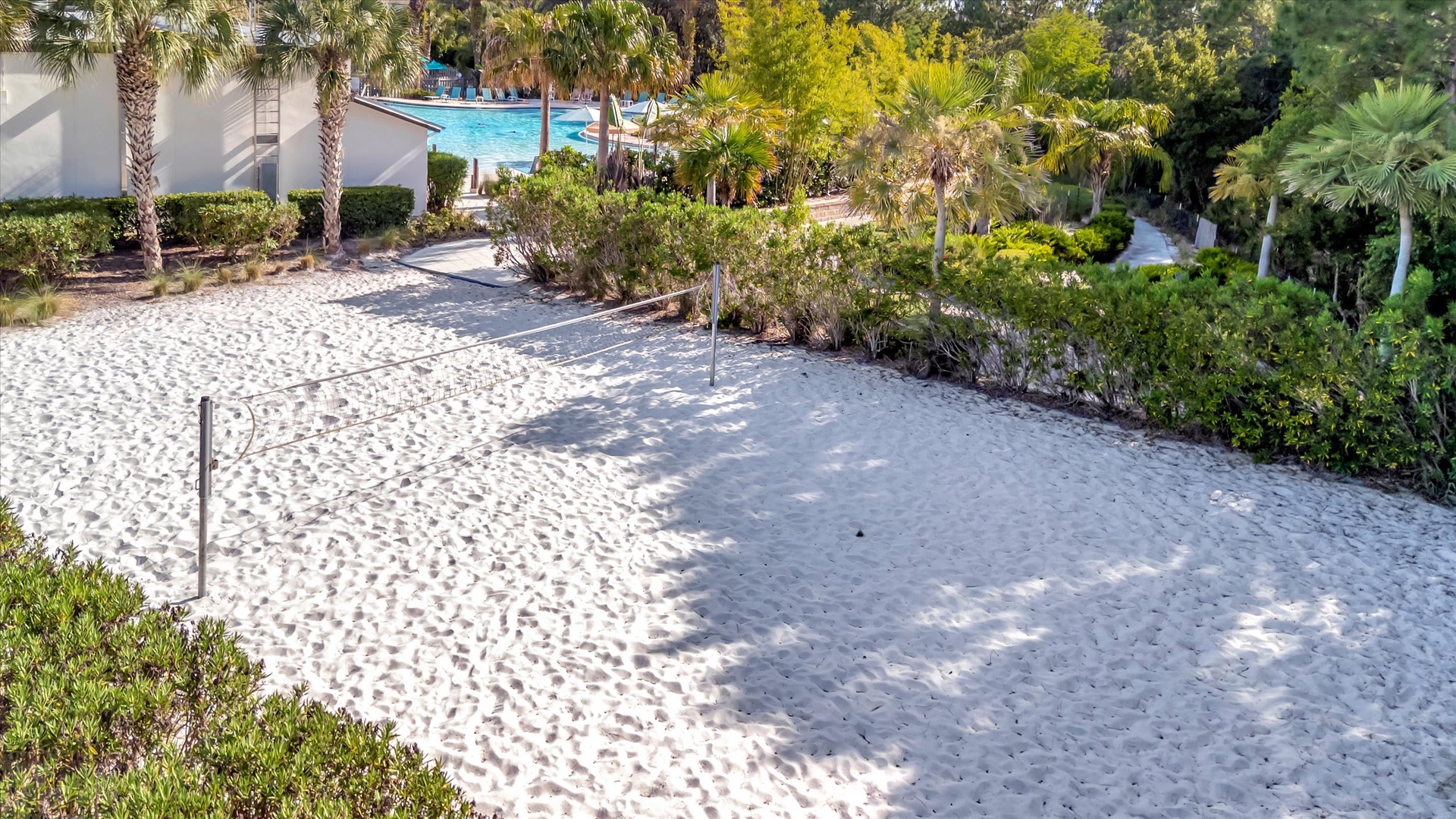 A sunny sand volleyball court surrounded by lush tropical landscaping and swaying palms invites friendly competition and outdoor fun.