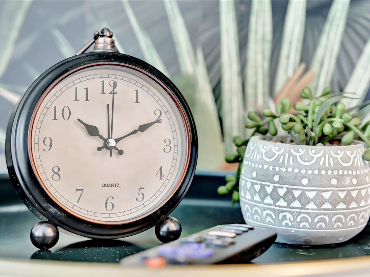 A vintage-style alarm clock and a decorative succulent planter add personal touches to your bedside, setting a cozy and welcoming tone for restful mornings.