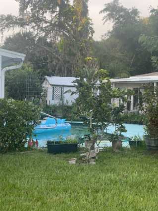 A bright blue pool nestled in a lush garden setting, surrounded by mature trees and greenery, offering your private oasis for relaxation and refreshment.