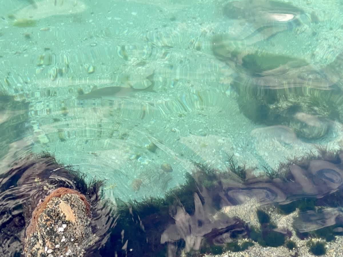 Crystal-clear turquoise waters reveal smooth stones and rippling patterns along the shallow seabed, inviting you to dip your toes in the refreshing shallows.