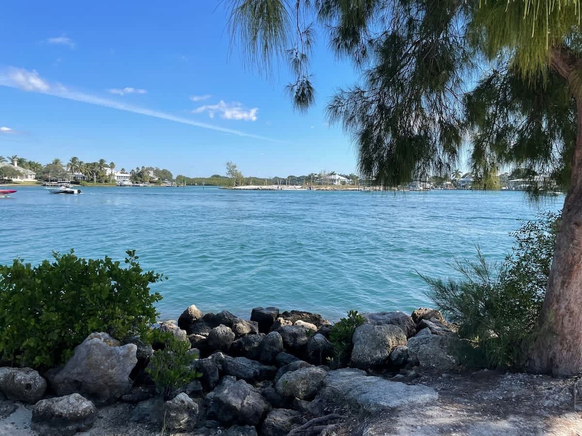 Tranquil waterfront setting with turquoise waters and natural landscaping framing the surrounding residential neighborhood and distant shoreline.