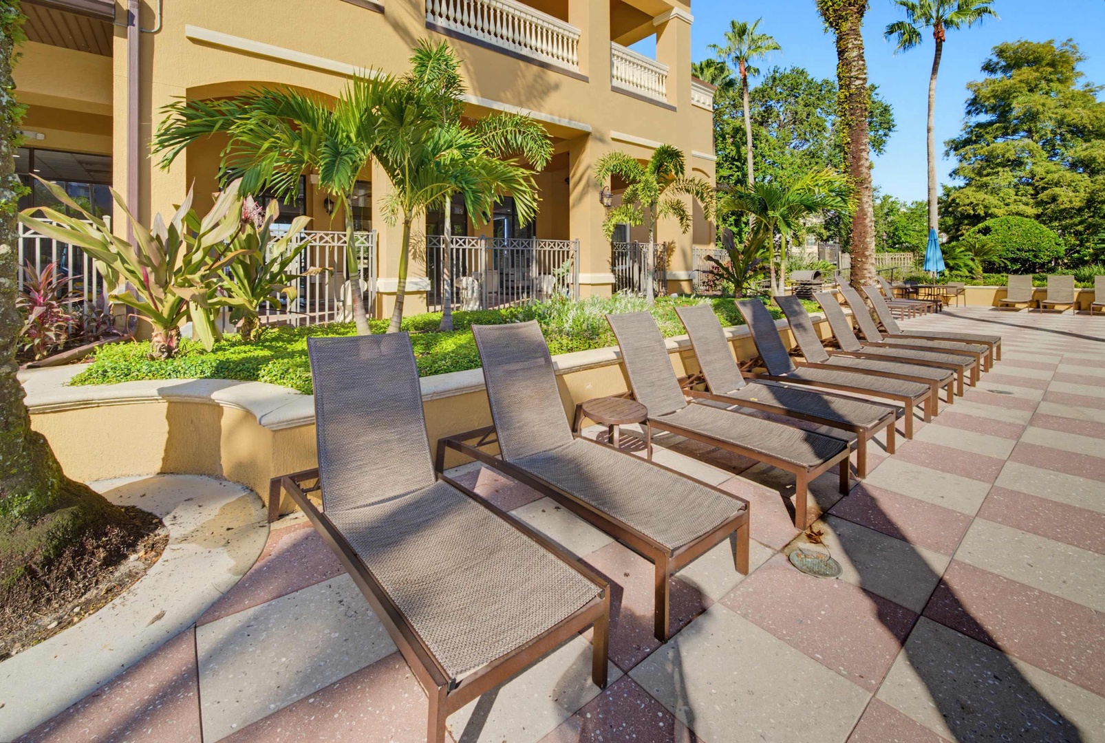 Rows of loungers sit ready in the sunshine, surrounded by lush palms and vibrant tropical greenery—your perfect spot to unwind and soak up the warm weather.