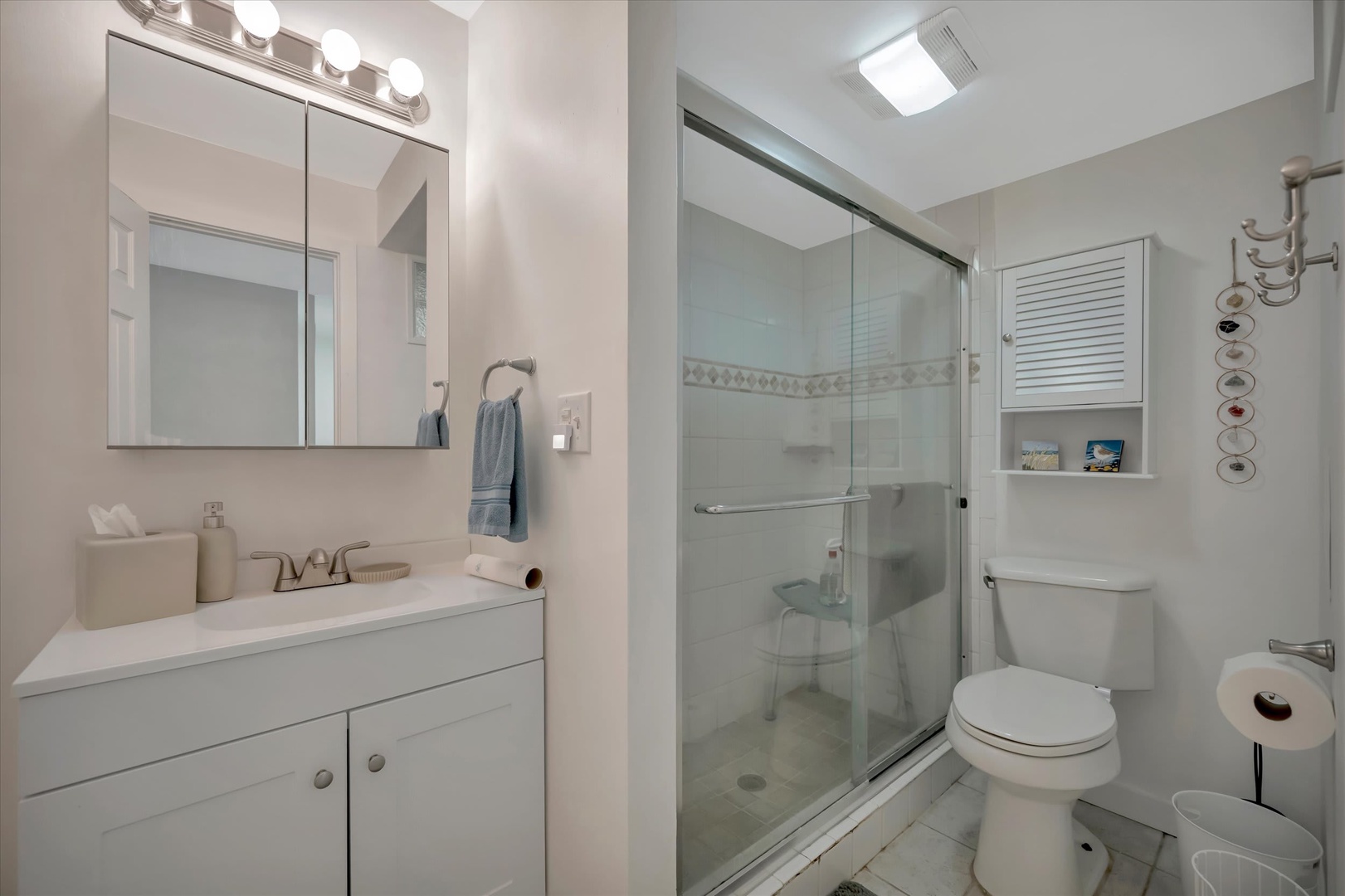 Step into your bright, immaculate bathroom with a spacious walk-in shower, modern vanity, and thoughtful touches like a skylight to brighten your morning routine.