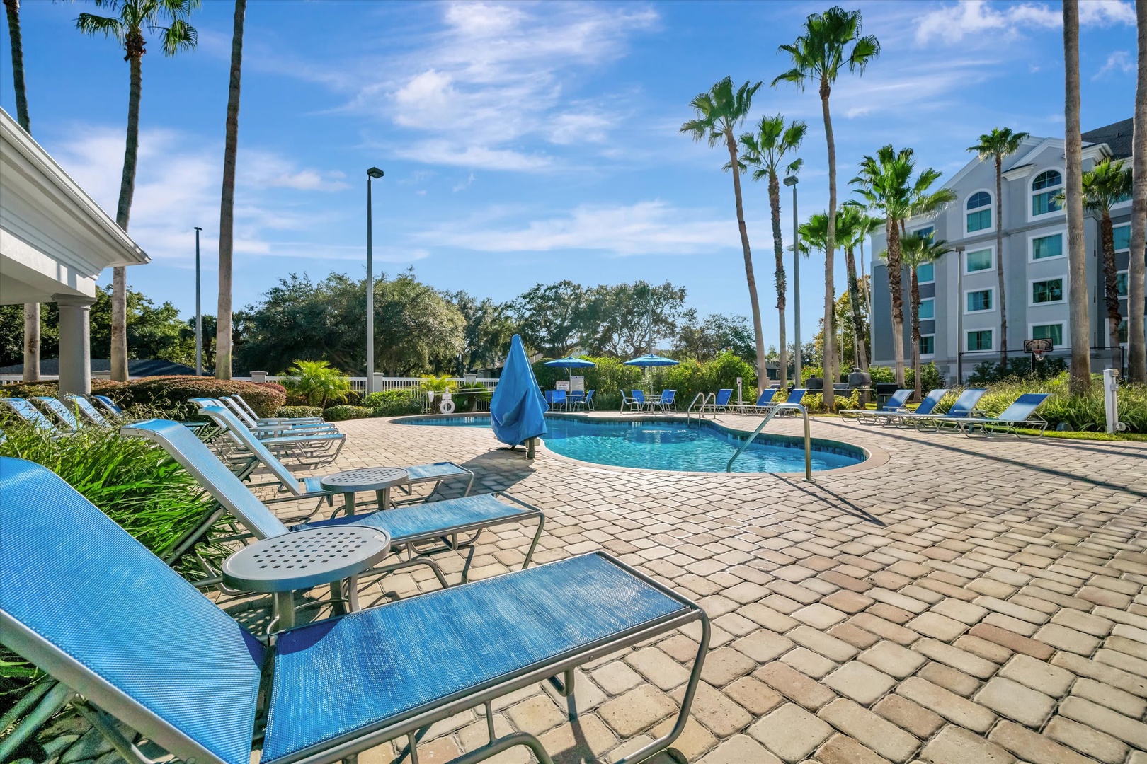 Soak up the Florida sunshine poolside, where swaying palms and inviting loungers set the scene for your perfect day of relaxation and tropical bliss.