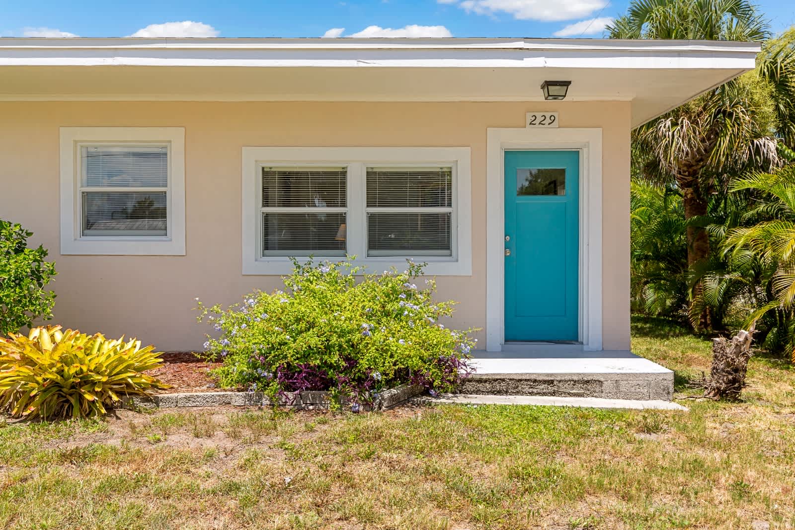 A charming beachside cottage marked at address 229, surrounded by tropical palms and lush landscaping under sunny Florida skies.