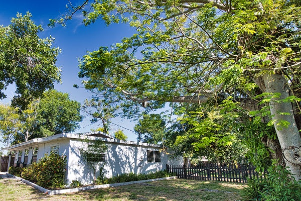 The property sits nestled in lush tropical greenery beneath a brilliant blue sky—a serene retreat surrounded by nature's beauty.