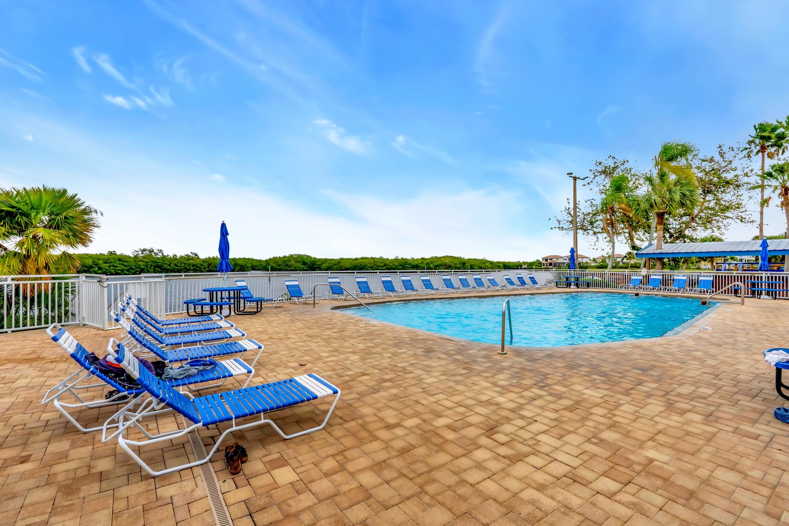 Sparkling pool surrounded by abundant lounge chairs and natural greenery—your perfect spot to unwind under the Florida sun after a day of adventure.
