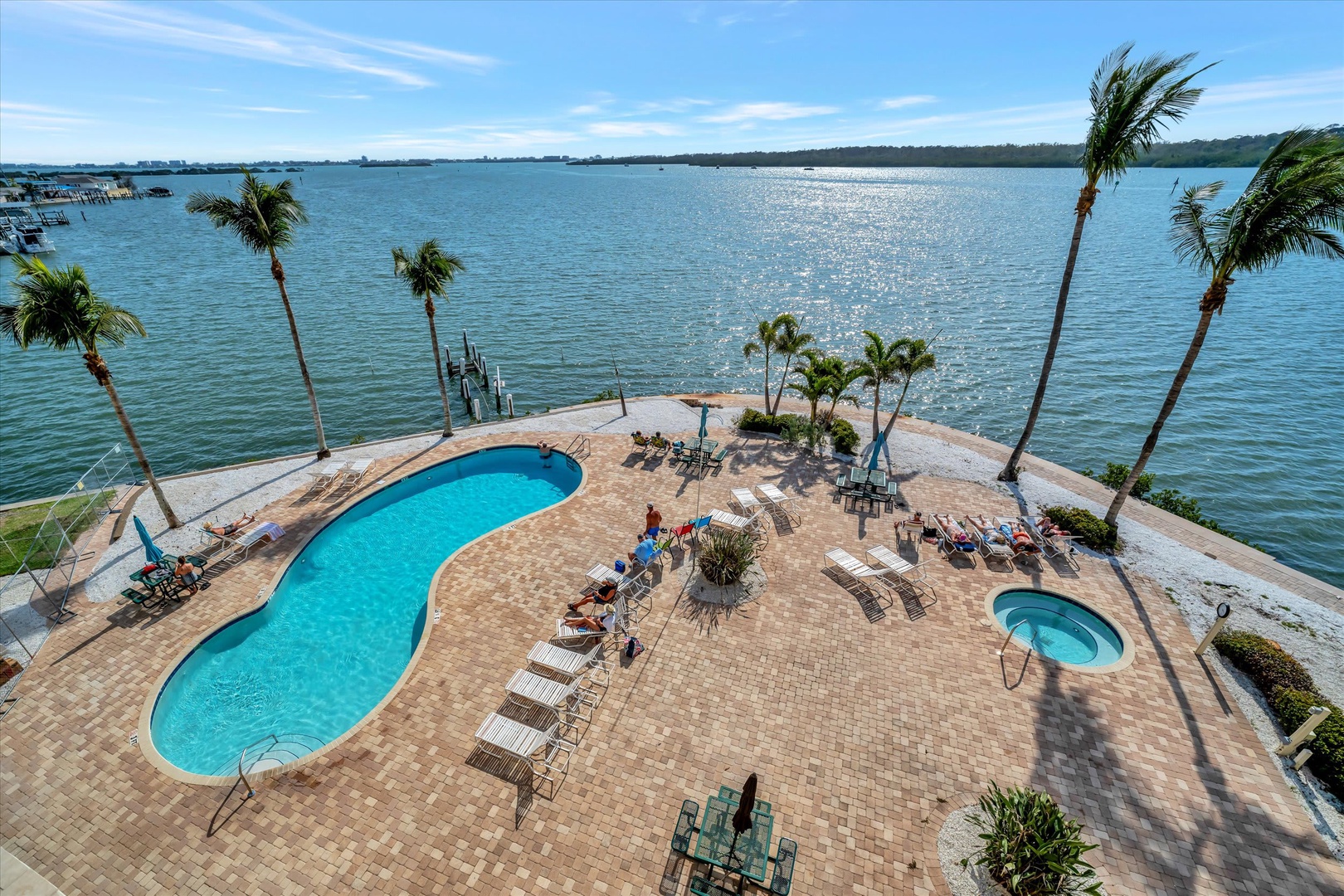 An expansive waterfront deck features a curved swimming pool, hot tub, and shaded seating areas beneath swaying palms, with direct access to calm bay waters and a private dock.
