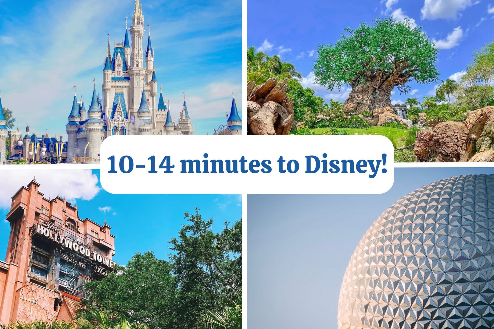 Located minutes from Disney's theme parks and attractions, making it easy to create unforgettable vacation memories.