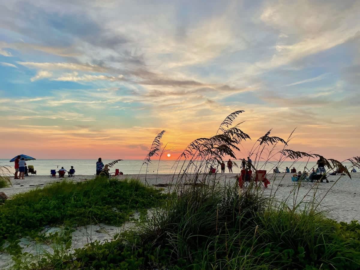 A stunning beach sunset framed by coastal grasses, with silhouettes of beachgoers along the shore beneath soft pastels of orange and blue sky.