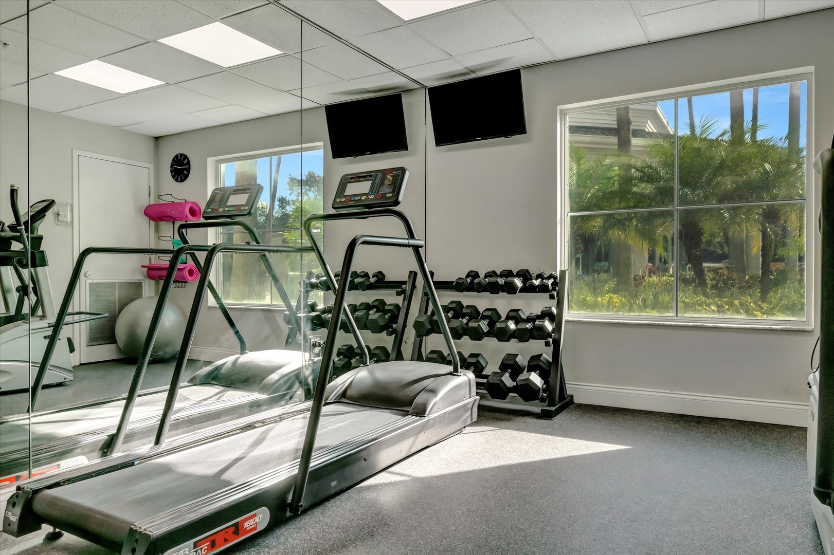 Your private fitness center overlooks lush tropical palms through floor-to-ceiling windows. Natural light floods the space as you work out with cardio equipment, free weights, and mirrored walls.