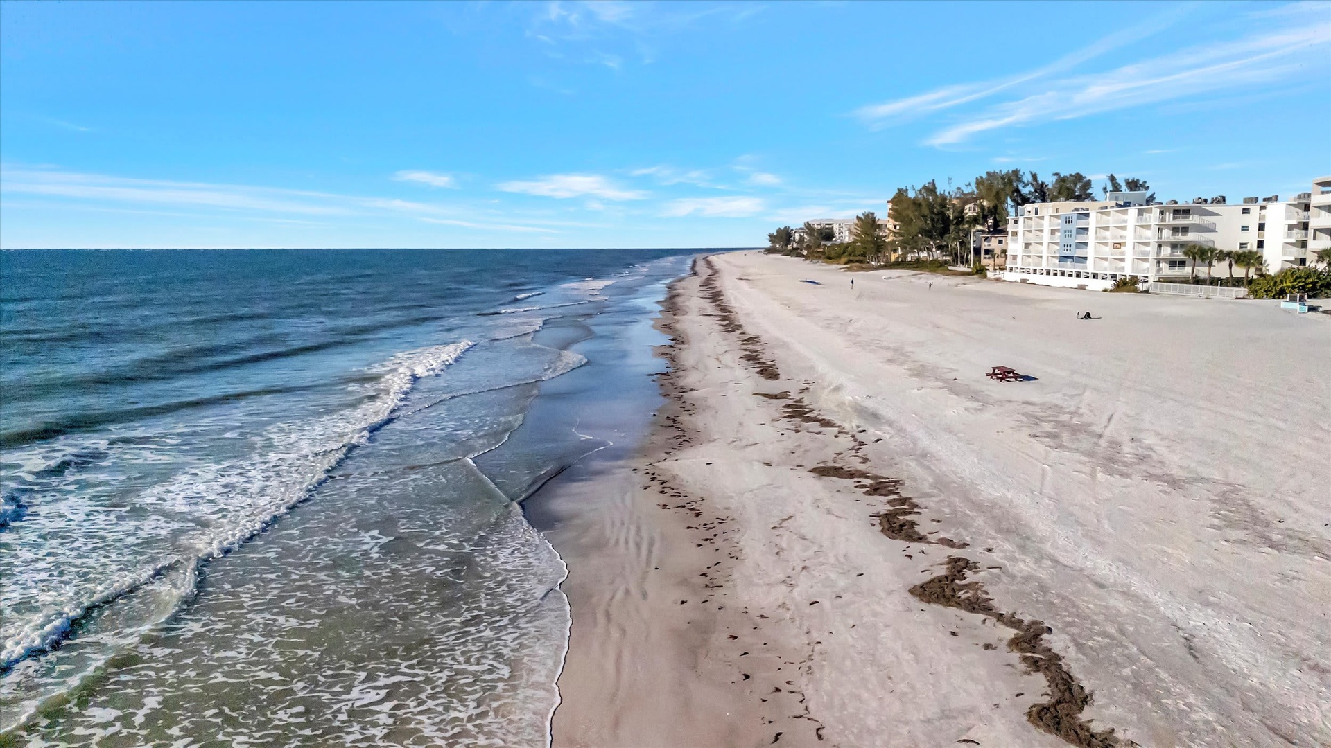 Expansive stretch of sandy beach with gentle waves meeting the shore, bordered by coastal properties and lined with trees—a serene Gulf Coast setting.
