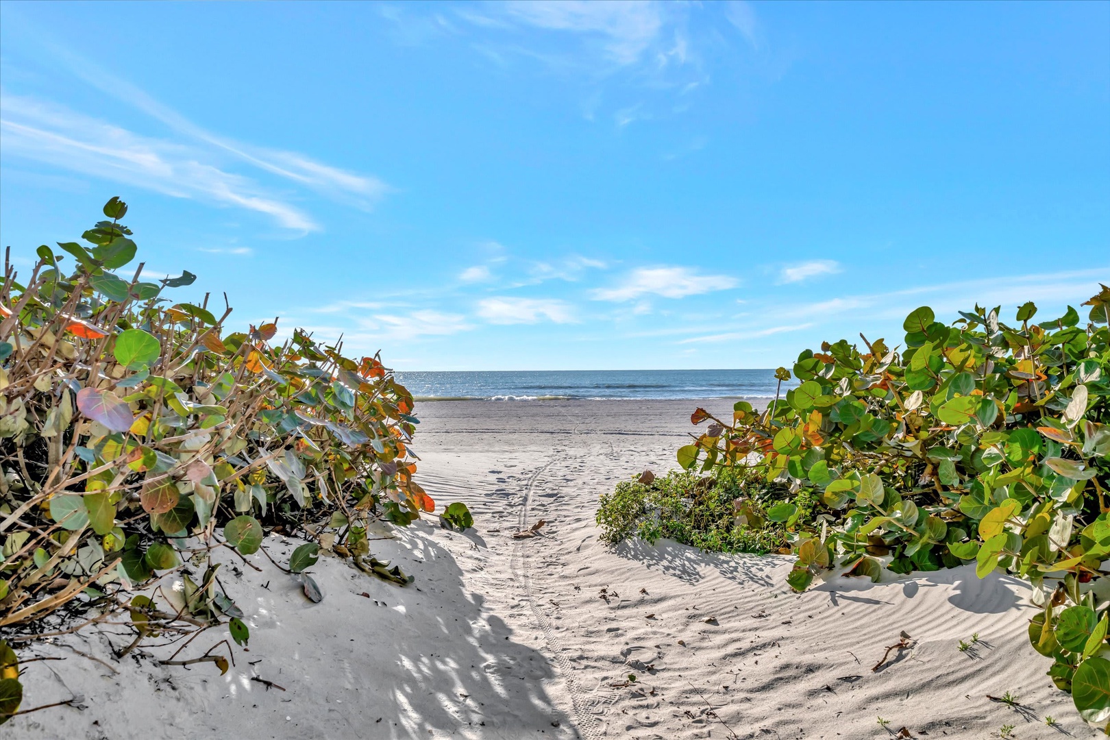 A private path leads through natural coastal foliage to pristine sands and the glistening ocean beyond, framed by tropical greenery and clear blue skies.