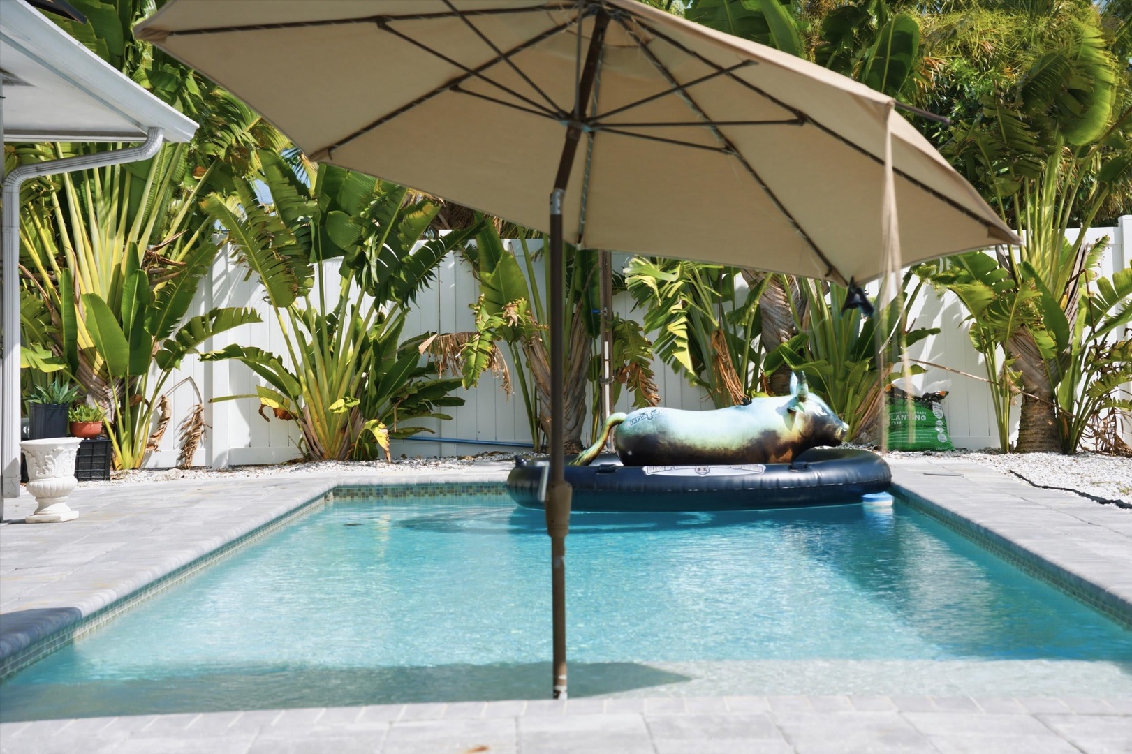 Float under the shade in your private pool, surrounded by tropical palms and complete tranquility—your perfect escape awaits.