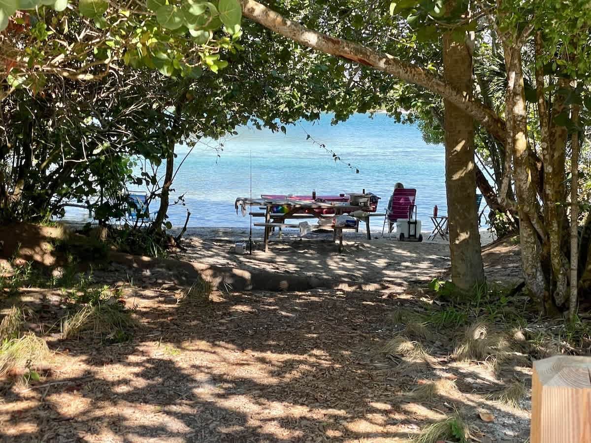 A shaded path through natural foliage leads to your private waterfront retreat, complete with a dock, lounge chairs, and kayaks waiting by the tranquil lake.