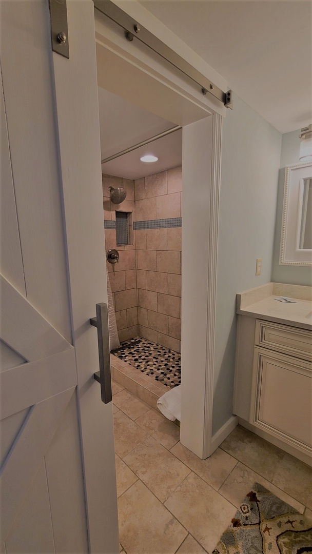 Master Bathroom Shower