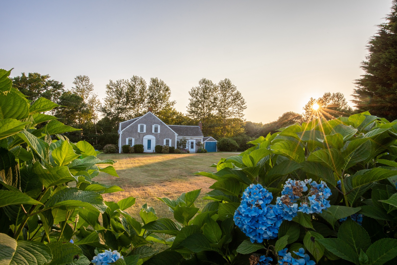 Pet Friendly Cape Cod MA Vacation Rentals Gibson Sotheby's