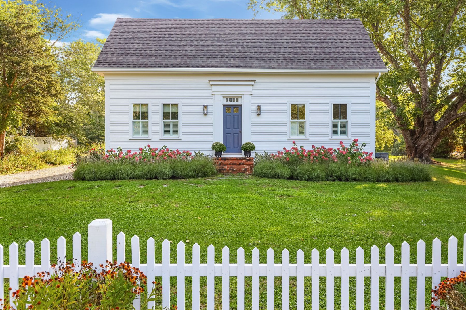 Shiplap Dreams