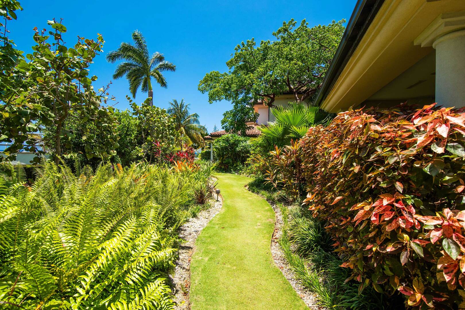 Foot paths leading to the beach and pool deck.