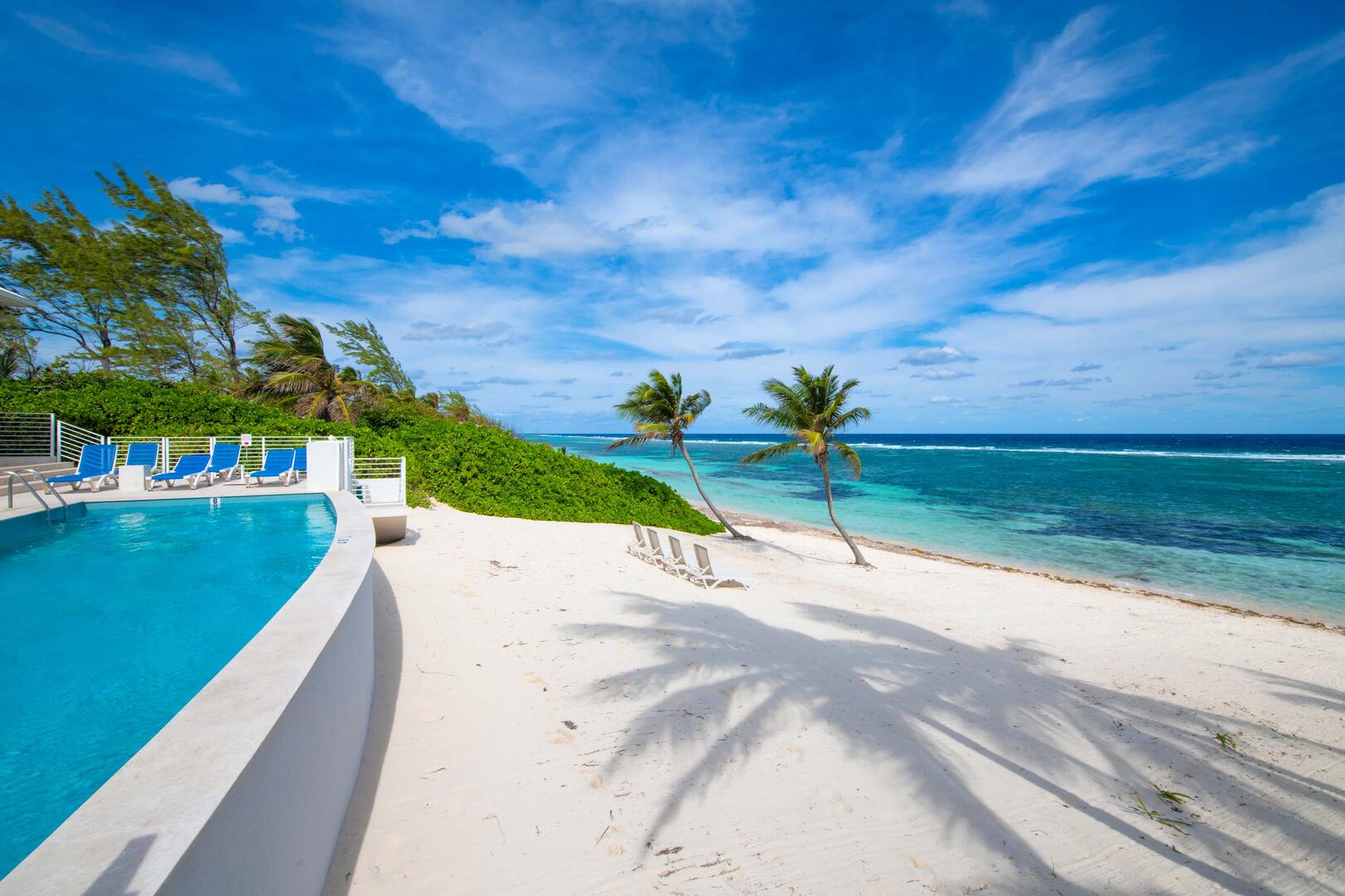 Backyard beach with excellent snorkeling steps off the pool deck.