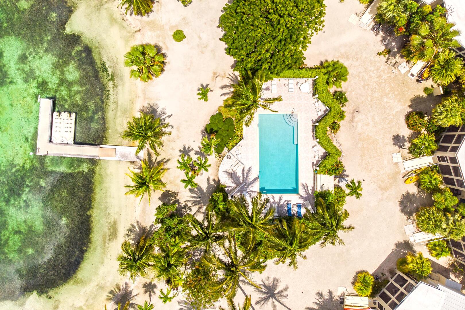 Aerial view of the community pool and dock.