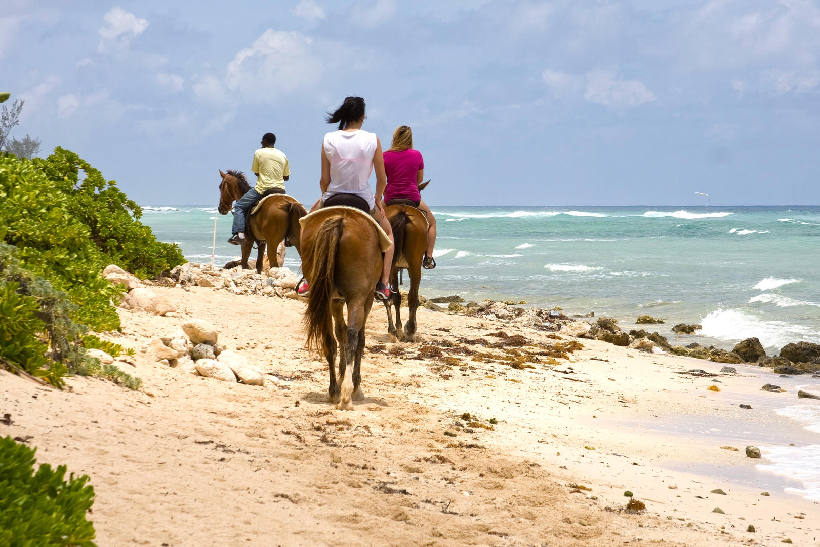 Horseback riding on the beach.