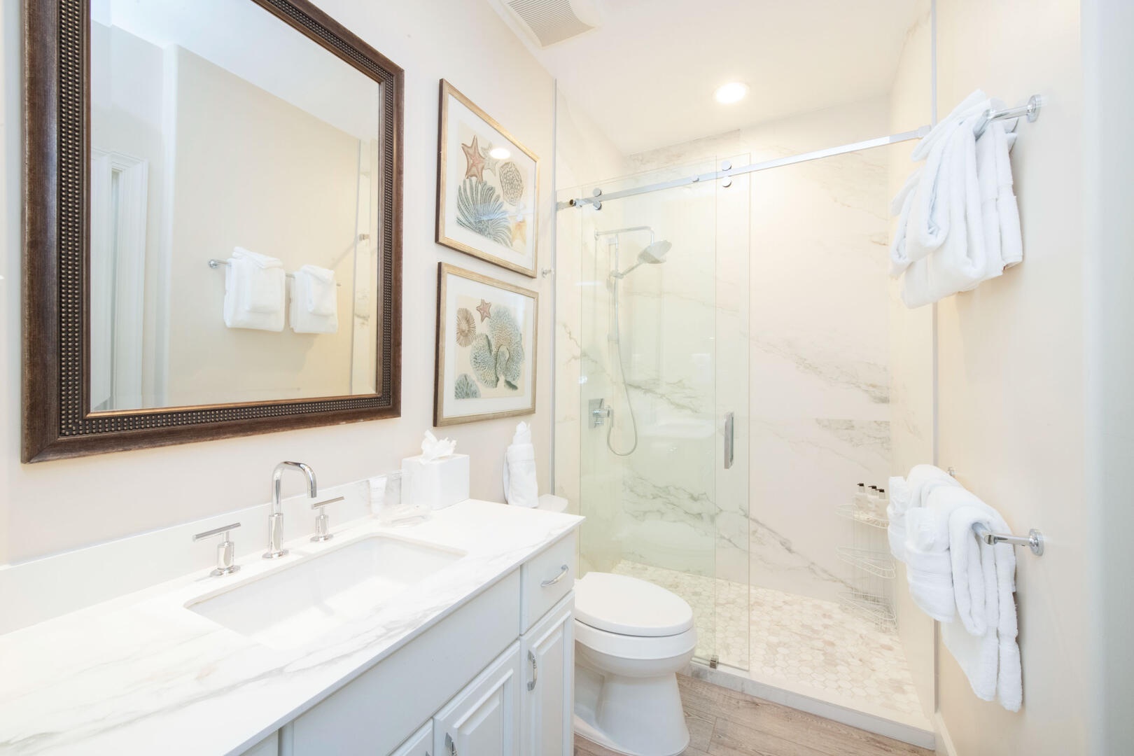 Guest Ensuite bathroom with shower.