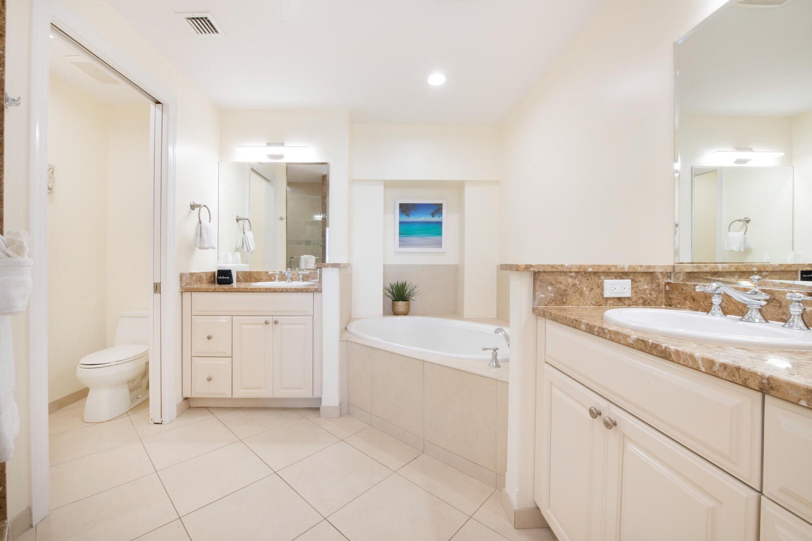 Primary ensuite with tub