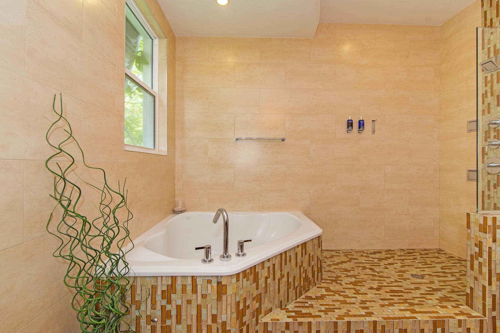 Stunning soaking tub.