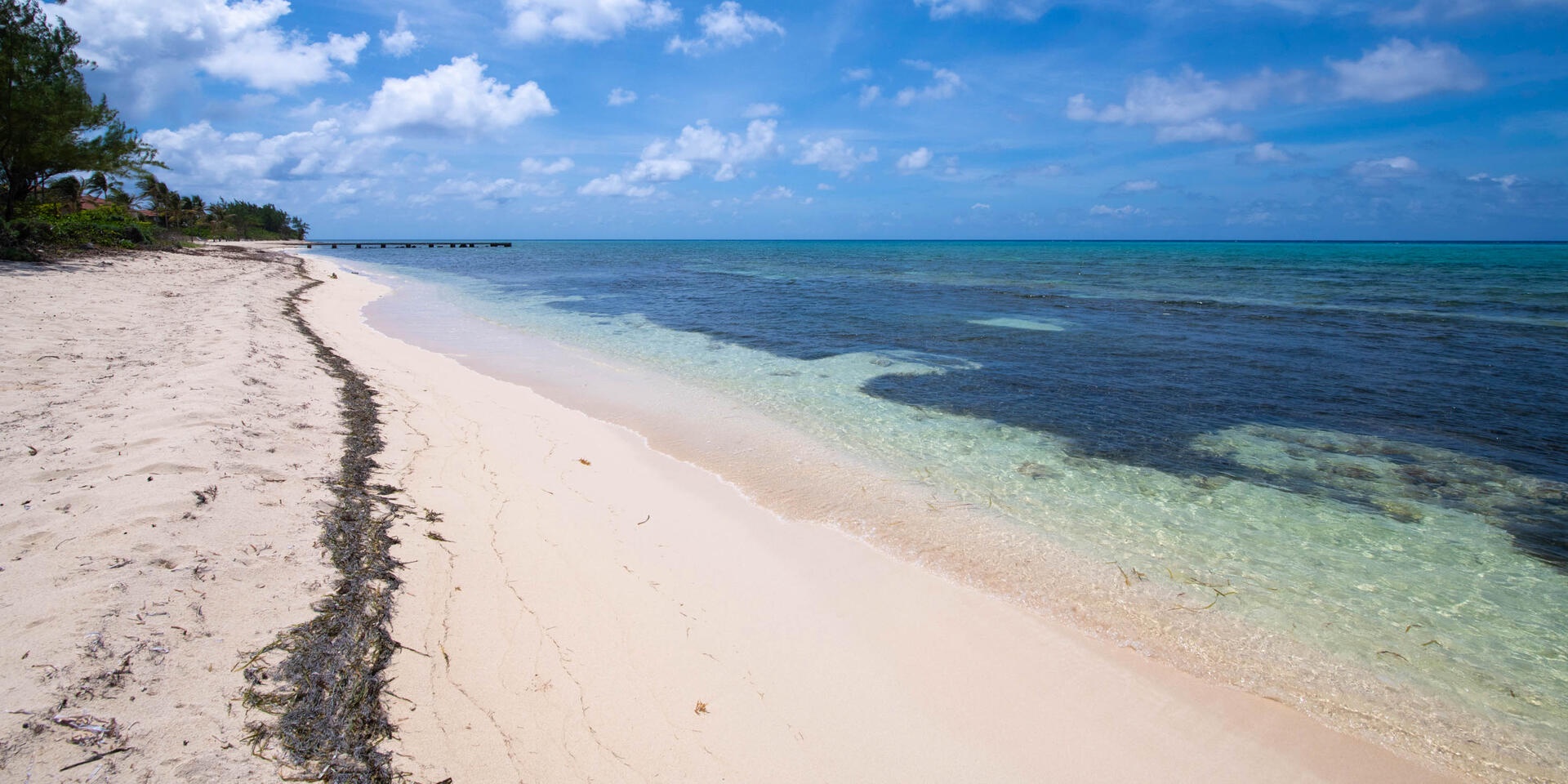 Take long walks along the shore.