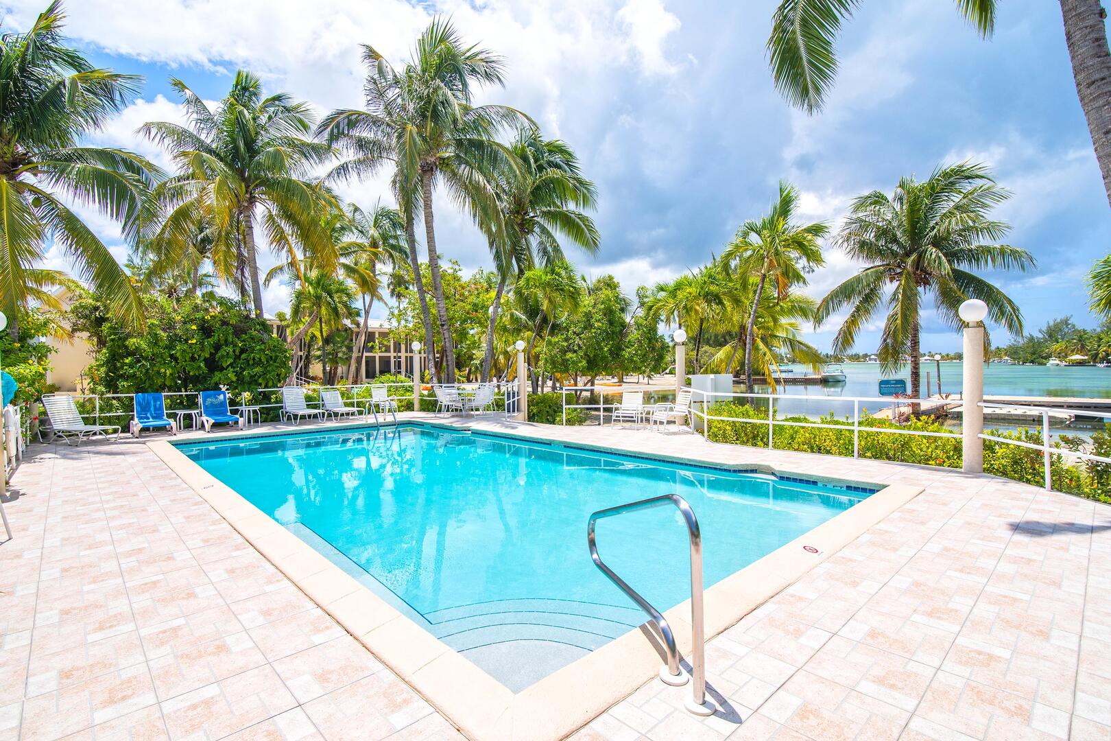Communal pool overlooking the island's Bioluminescent Bay.
