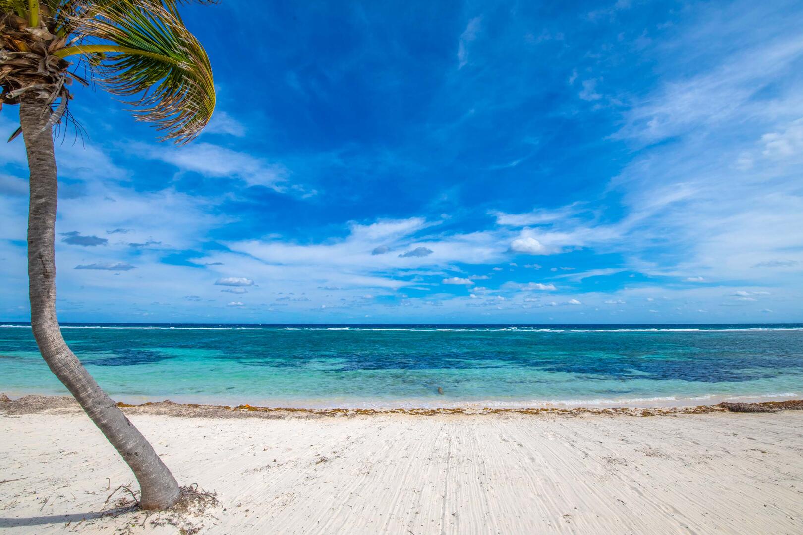 Reef protected waters perfect for kayaking or snorkeling.