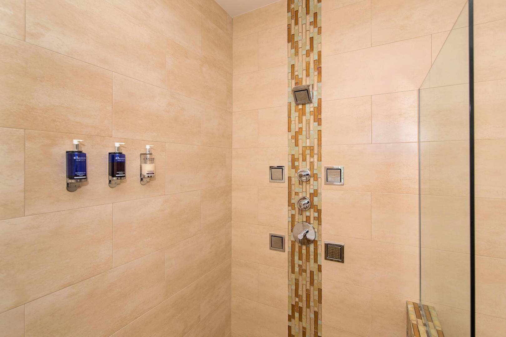Master bath's walk-in shower.