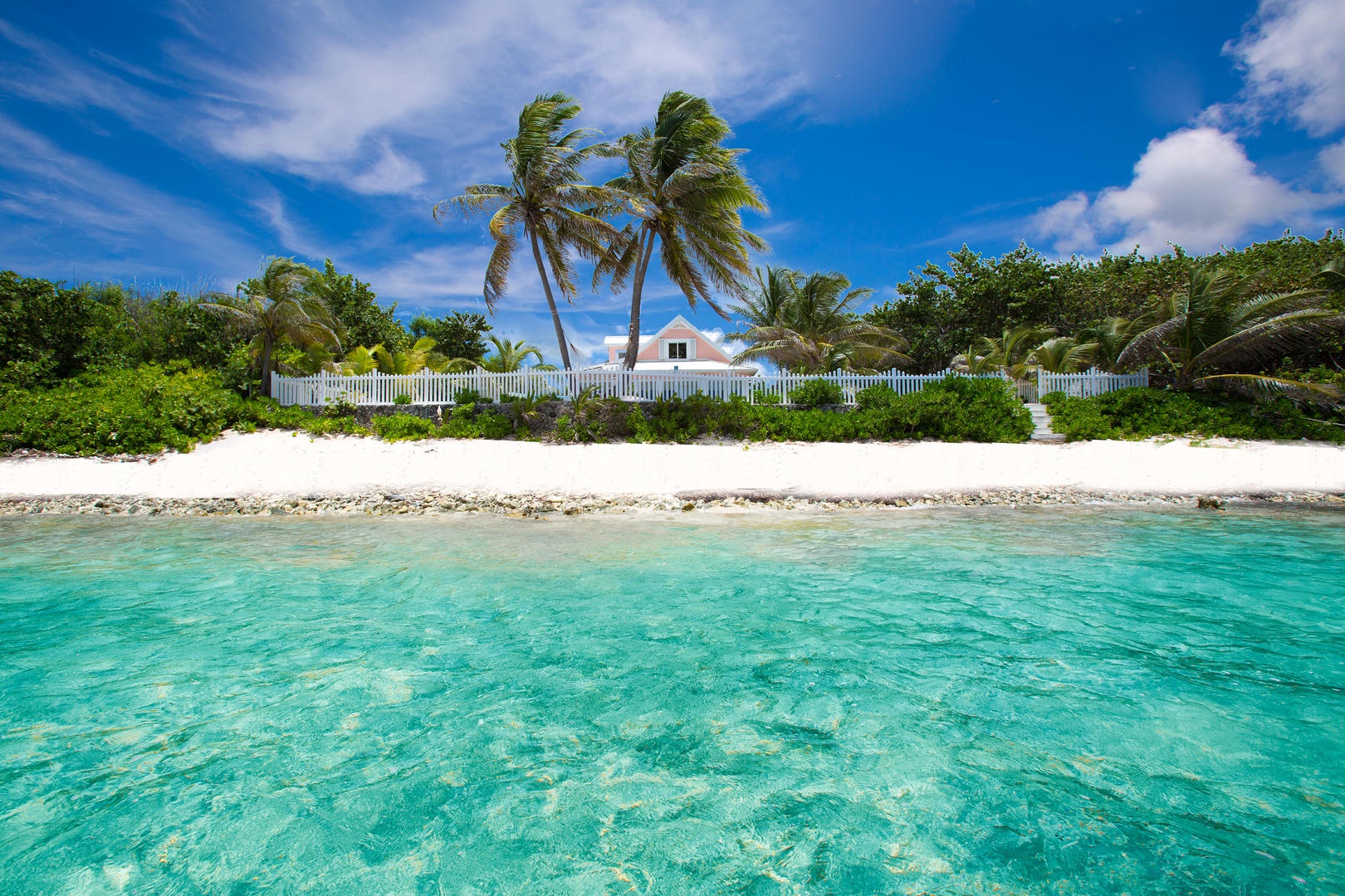 Amazing snorkeling can be found right in your backyard!