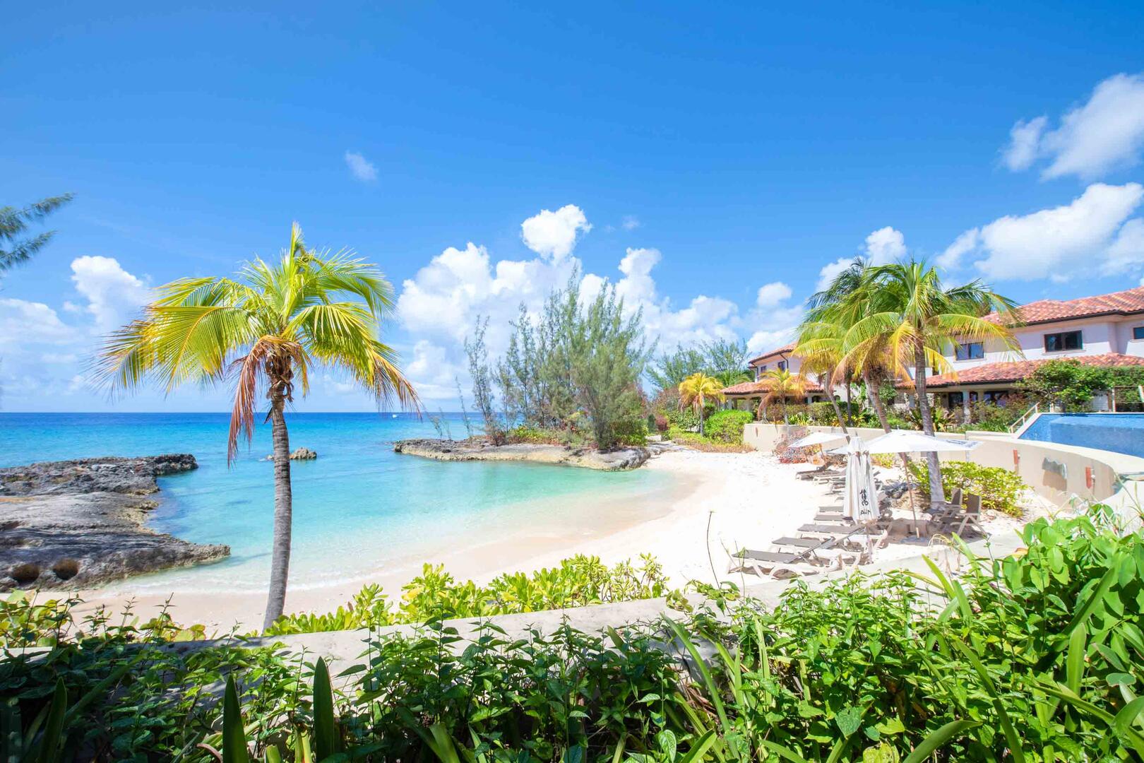 Welcome to Casa Luna Resort.