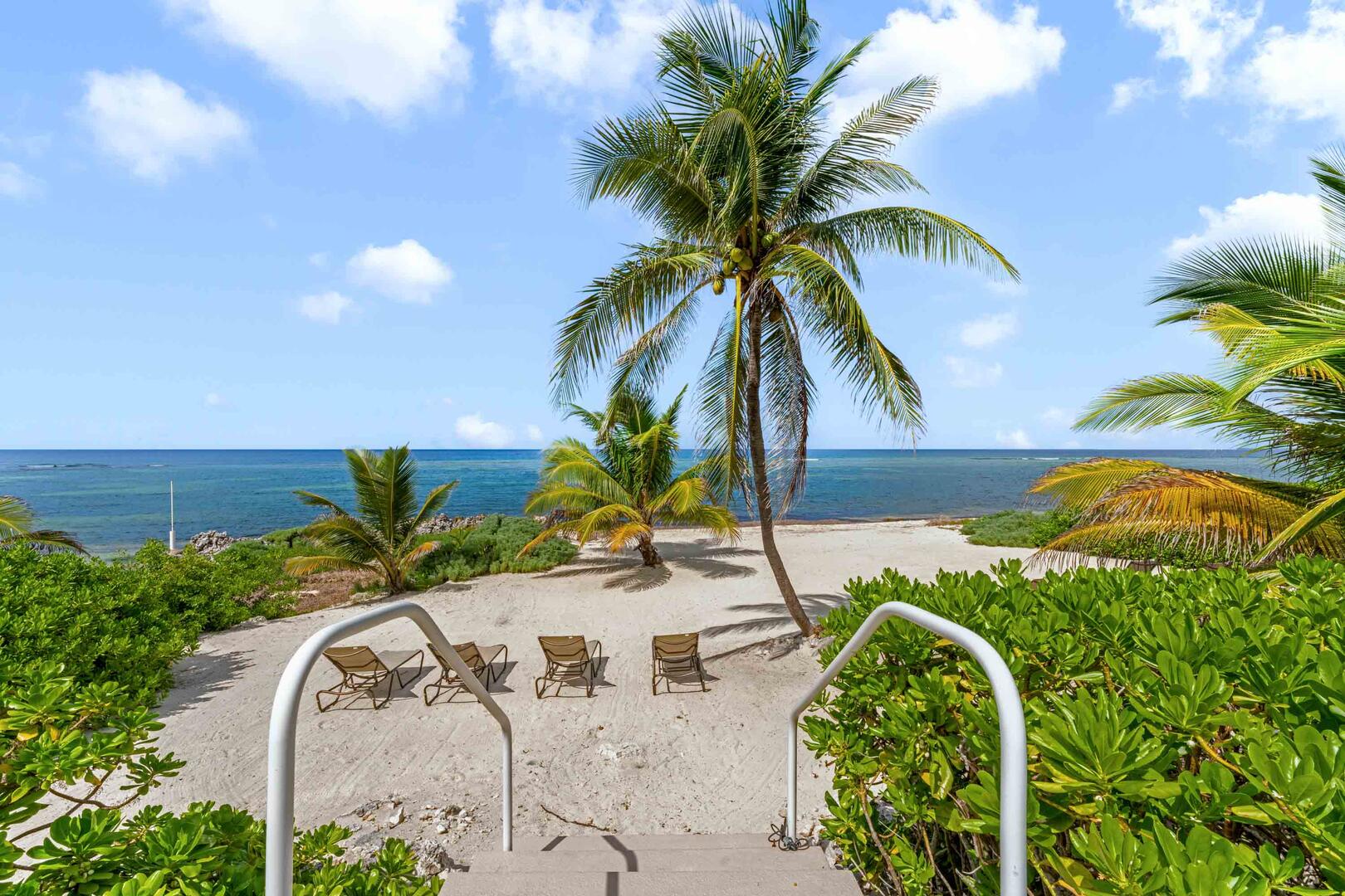 Backyard beachfront.