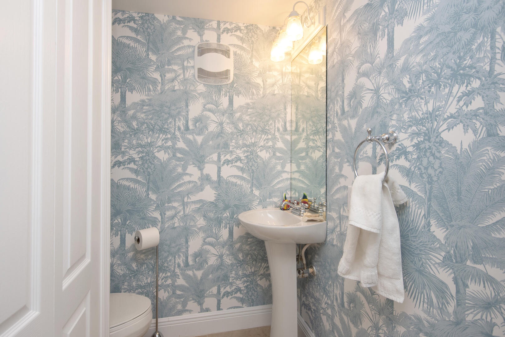 Lower level powder room.