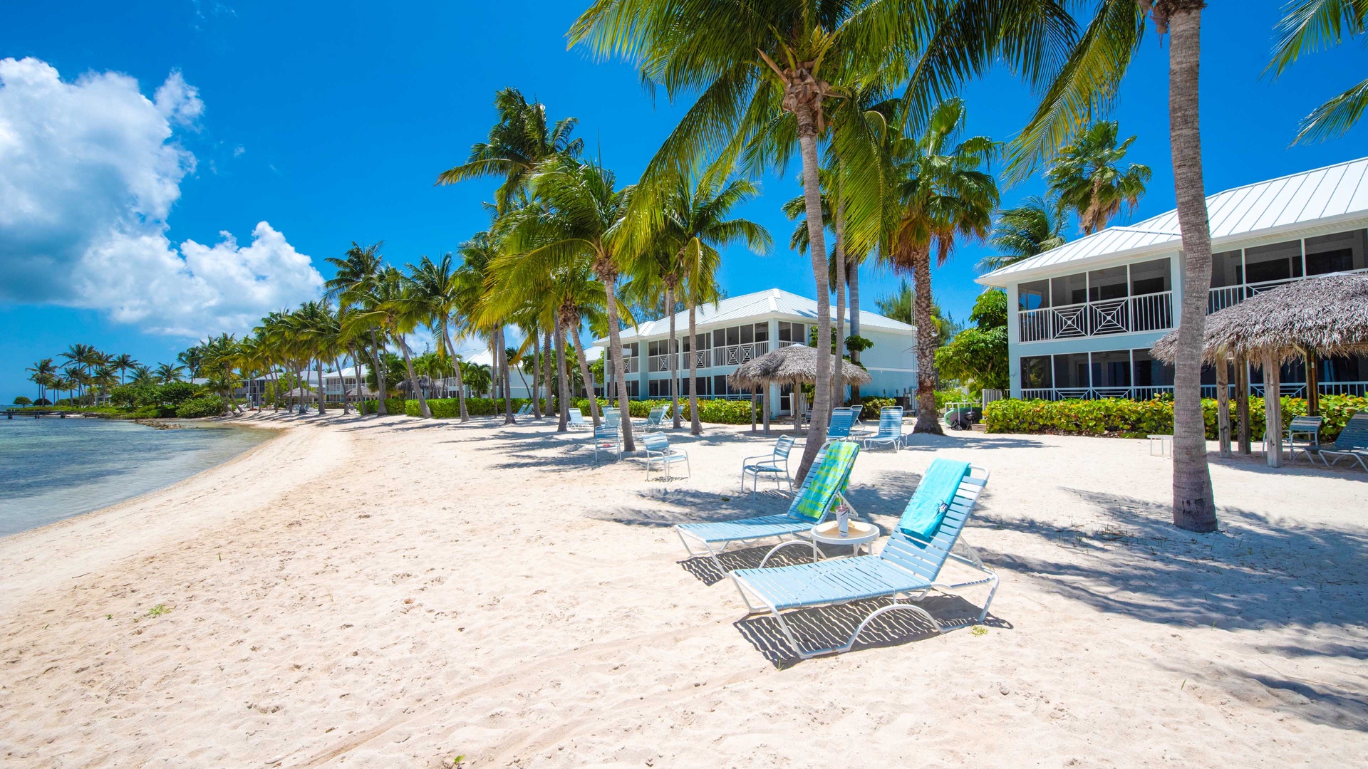 Walk the sandy beach!