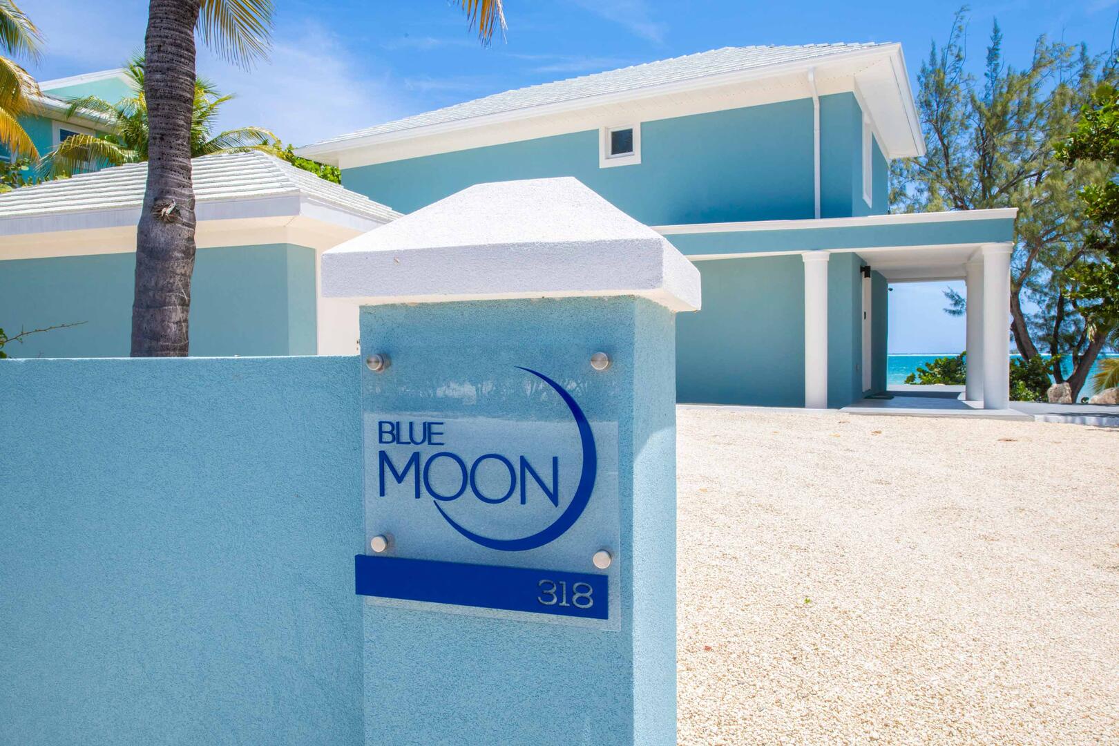 Welcome to Blue Moon.